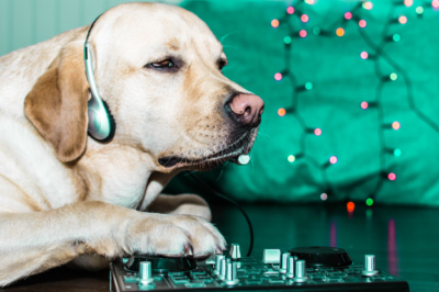 Dog with headphones and mixing board